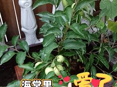 -玉渡山风景区-售票处