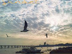 -星海广场