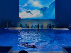 -石家庄极地海洋世界