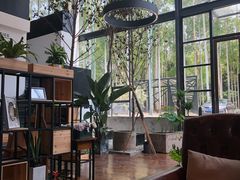 靠窗位-桉树林A coffee 森林餐厅(三圣乡店)