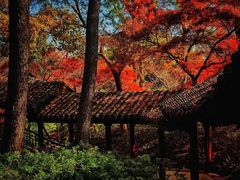 -惠山古镇·寄畅园