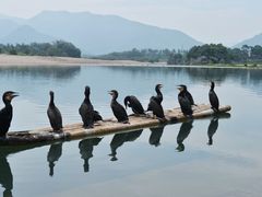 -楠溪江风景名胜区
