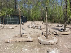 -哈尔滨北方森林动物园