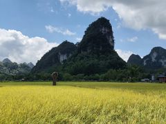 -靖西鹅泉风景区