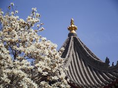 -西安市广仁寺