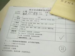 -利又安动物医院··老年病·猫科犬科·中兽医