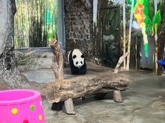 -海南热带野生动植物园