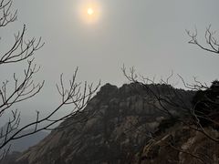 -鲁山国家森林公园