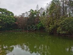 -荔香公园