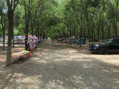 -呀路古热带植物园