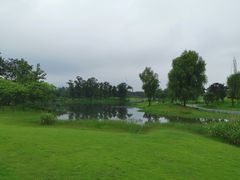 -两河城市森林公园