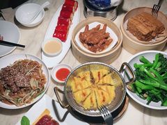 -陶陶居酒家(SM二期购物广场店)