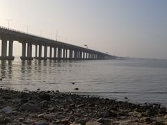 -宝安西湾红树林湿地公园