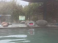 -雅安楠水阁温泉酒店