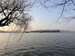 -浙江西子宾馆·牡丹厅