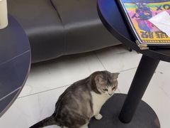 -谜盒子奇幻密室(南屏店)
