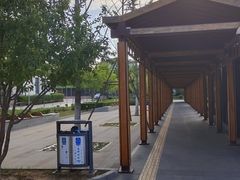 -首都医科大学附属北京潞河医院