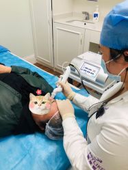 -美莱医疗美容医院