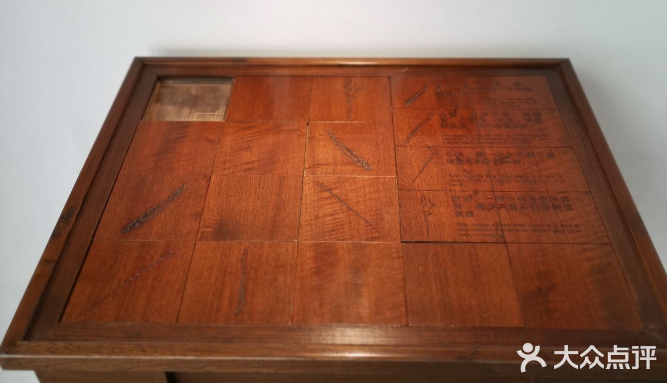 徐家汇光启公园