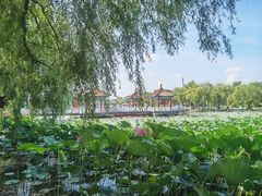 -长春市南湖公园