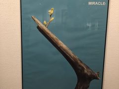 -侵华日军南京大屠杀遇难同胞纪念馆