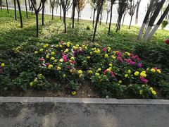 -西宁市人民公园(城西区)