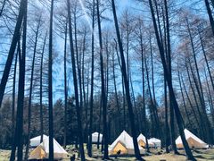 -硗碛藏寨·神木垒景区