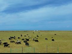 -青海湖国家重点风景名胜区
