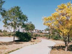 -天津东丽湖风景区