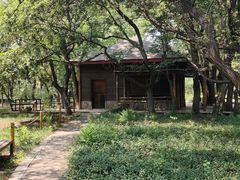 -北京植物园南门售票处