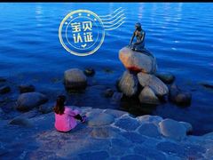 -美人鱼