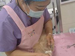 -北京观赏动物医院·24小时大型综合·猫专科·异宠专科