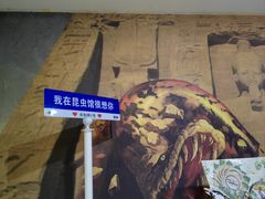 -上海大自然野生昆虫馆(东方明珠·爬宠昆虫探索中心)