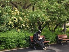 -长春市南湖公园