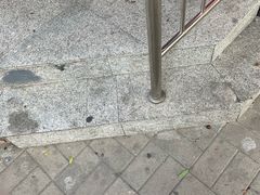 -小宝栗子(西安道店)