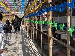 -亲兄弟真人CS团建拓展基地