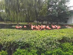 -石家庄市动物园