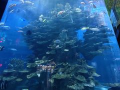 -泉城欧乐堡海洋极地世界