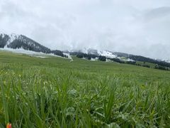 -新疆那拉提国家旅游度假区