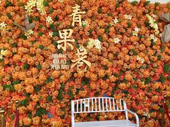 -青果巷历史文化街区