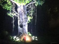 -婺源梦里老家大型山水实景演出