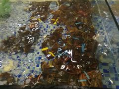 -海鲜码头·中国菜