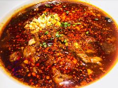 水煮牛肉片-映水芙蓉(上海万象城店)