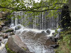 -汤旺河林海奇石景区