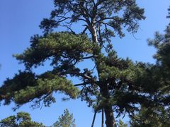 -沈阳市东陵公园