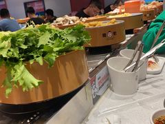 -龍歌自助小火锅(李沧顺和汇店)
