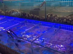 -海韵之星邮轮水会(明发商业广场店)