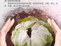 -和园景逸大酒店朗月汤泉