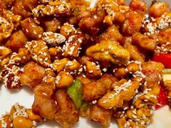 -连鹭海鲜·海肠捞饭·海胆饭(星海店)