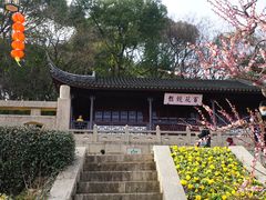 -苏州上方山国家森林公园